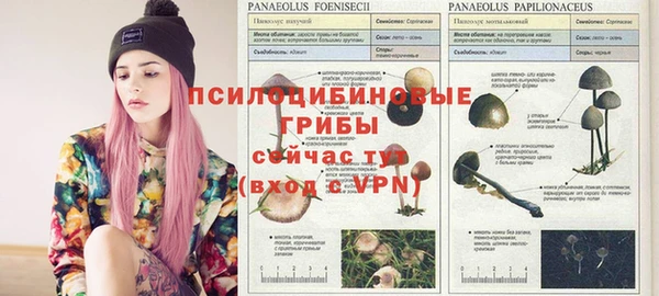 меф Бугульма